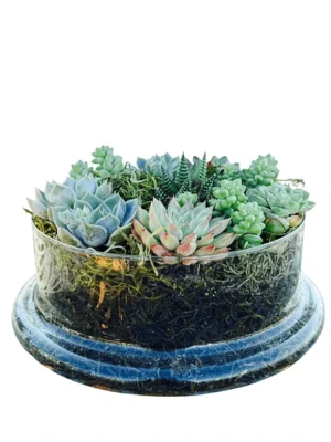 elegant glass pot