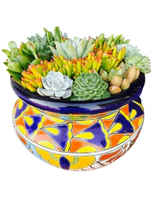 shandis garden talavera pot