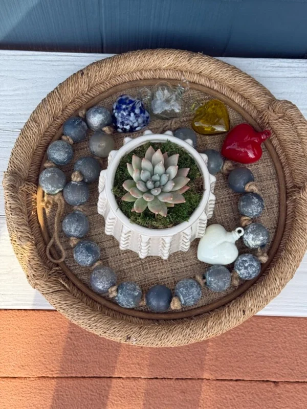 Succulent in Studded White Pot - Image 3