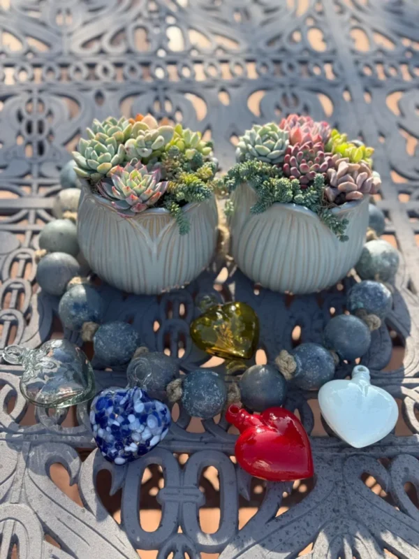 Colorful Succulents in White Planters - Image 3