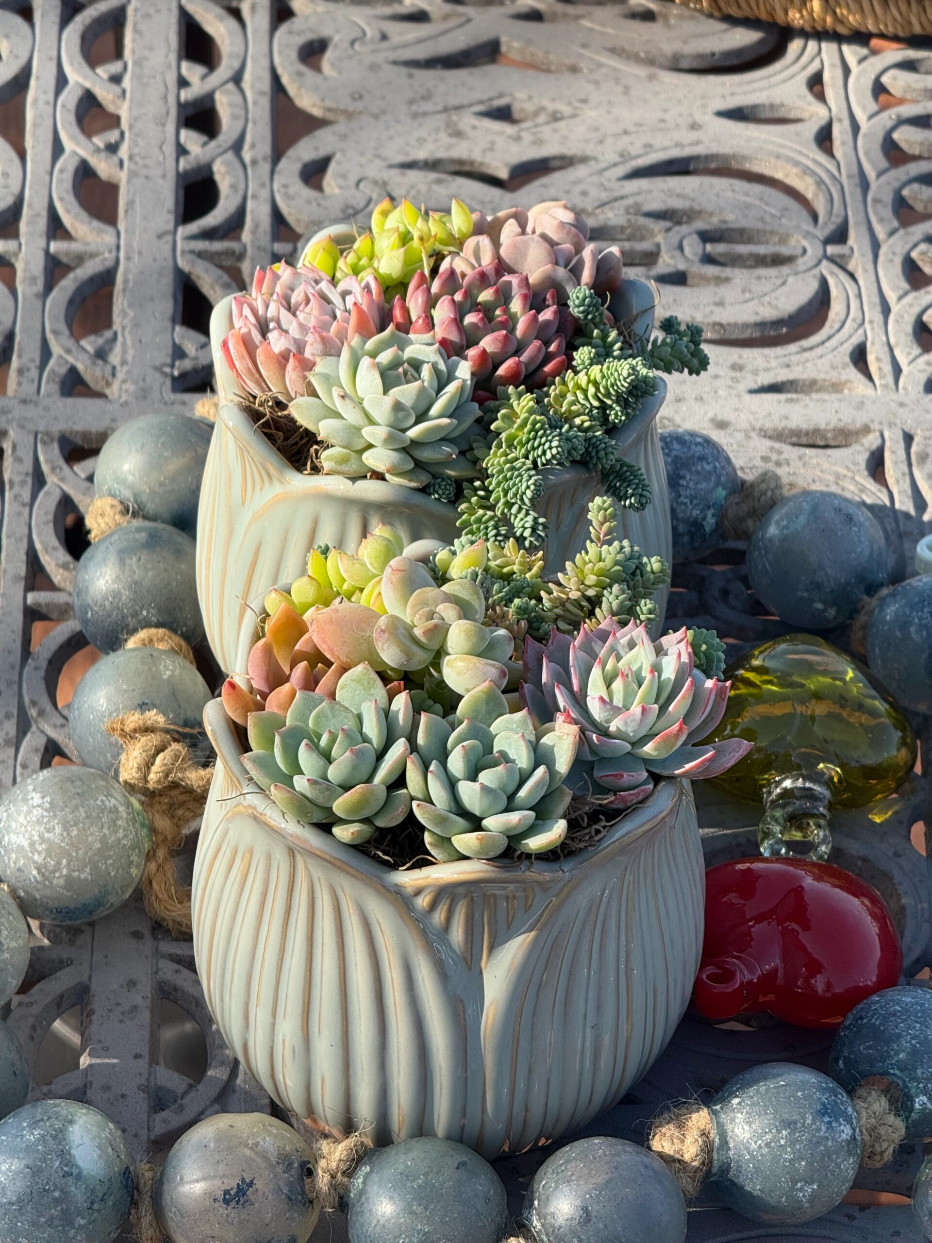 Colorful Succulents in White Planters