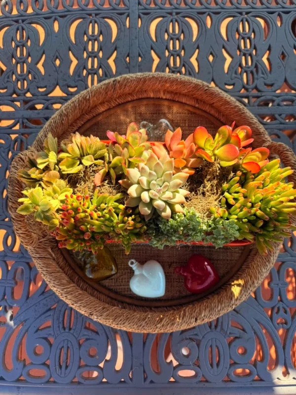 Stylish and Durable Planters