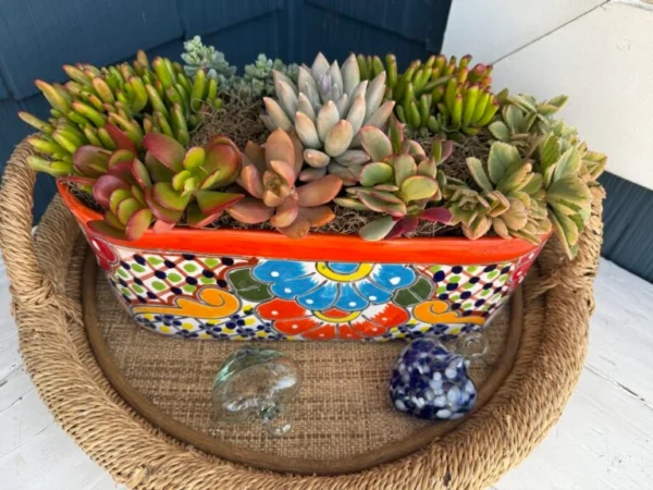 Stylish and Durable Planters