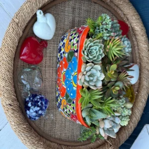 Colorful Succulents 6