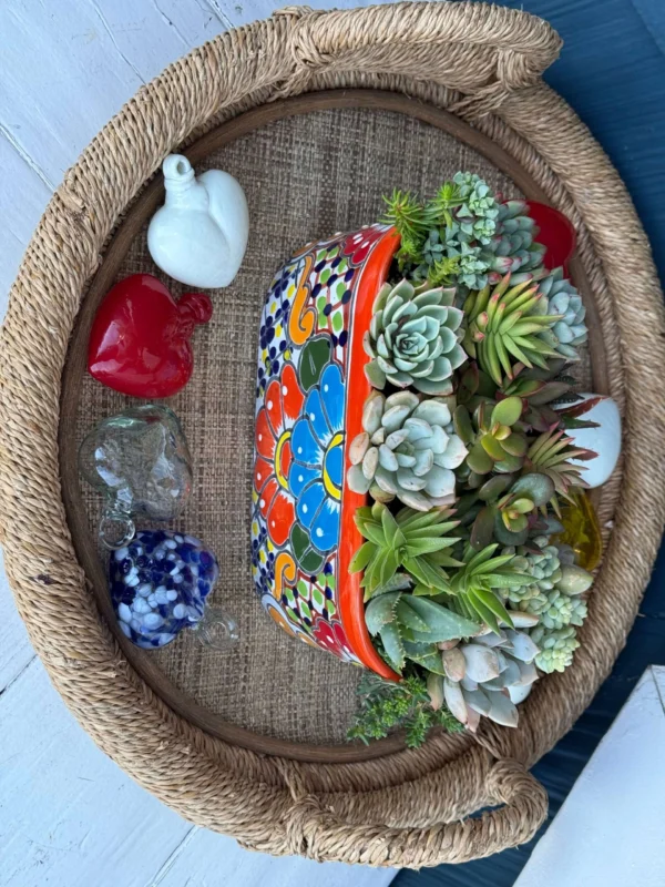 Colorful Succulents in Talavera Pot