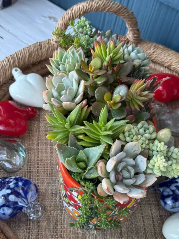 Colorful Succulents in Talavera Pot - Image 6