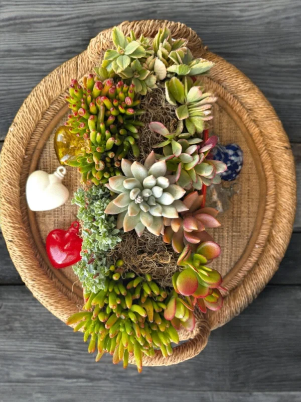 Stylish and Durable Planters