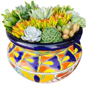 Colorful Succulents in Elegant Talavera Pot