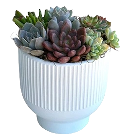 Stylish Durable Planters